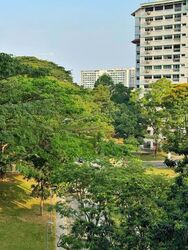 Blk 268C Boon Lay Court (Jurong West), HDB 5 Rooms #617668471